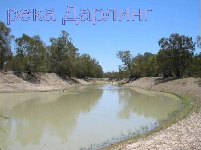 Река дарлинг полноводна круглый. Река Дарлинг. Река Дарлинг в Австралии. Река Муррей обмелела. Высохшая река Муррей.