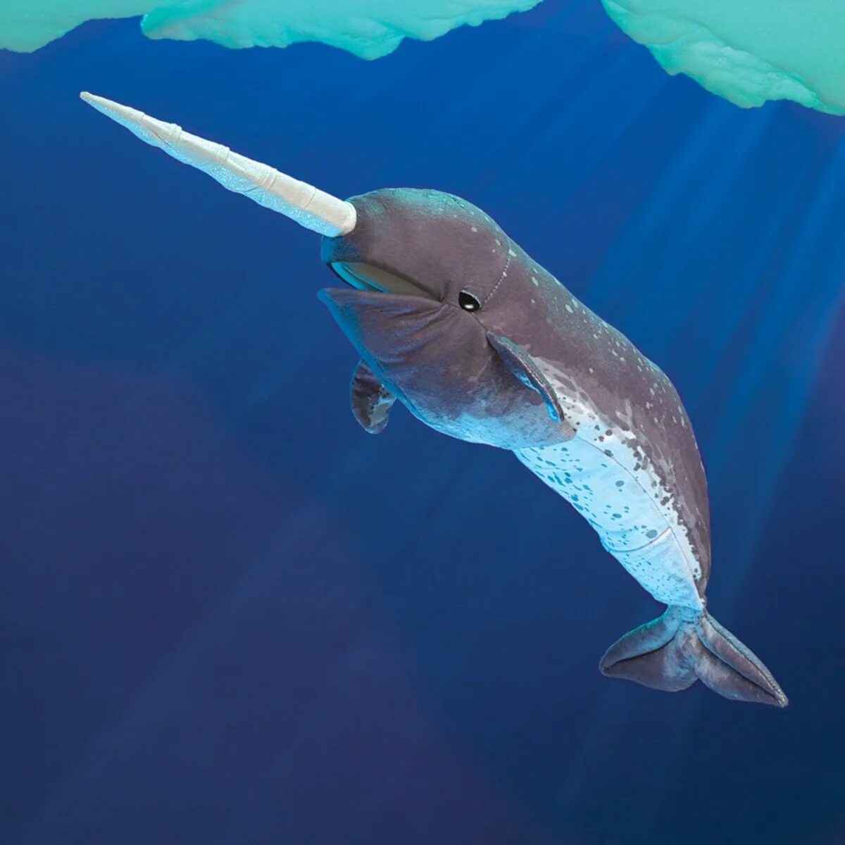 Рогатый кит нарвал. Кит нарвал. Морское млекопитающее с рогом как у единорога. Дельфин нарвал. Гренландский нарвал.