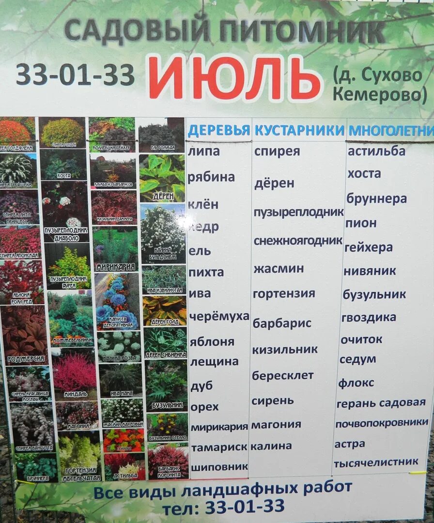 Агроном. Опт хоз интернет магазин каталог. Питомник растений. Агроном ленинградская ул 2б фото боровичи. Питомник лаванда.