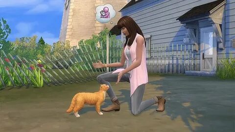 Wicked pets
