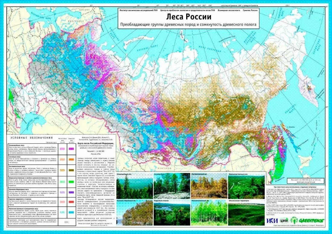 Карты лесов и болот. Карты лесов и болот