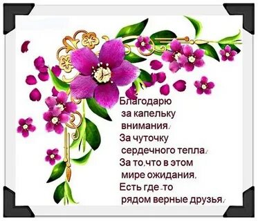 День внимания стихи