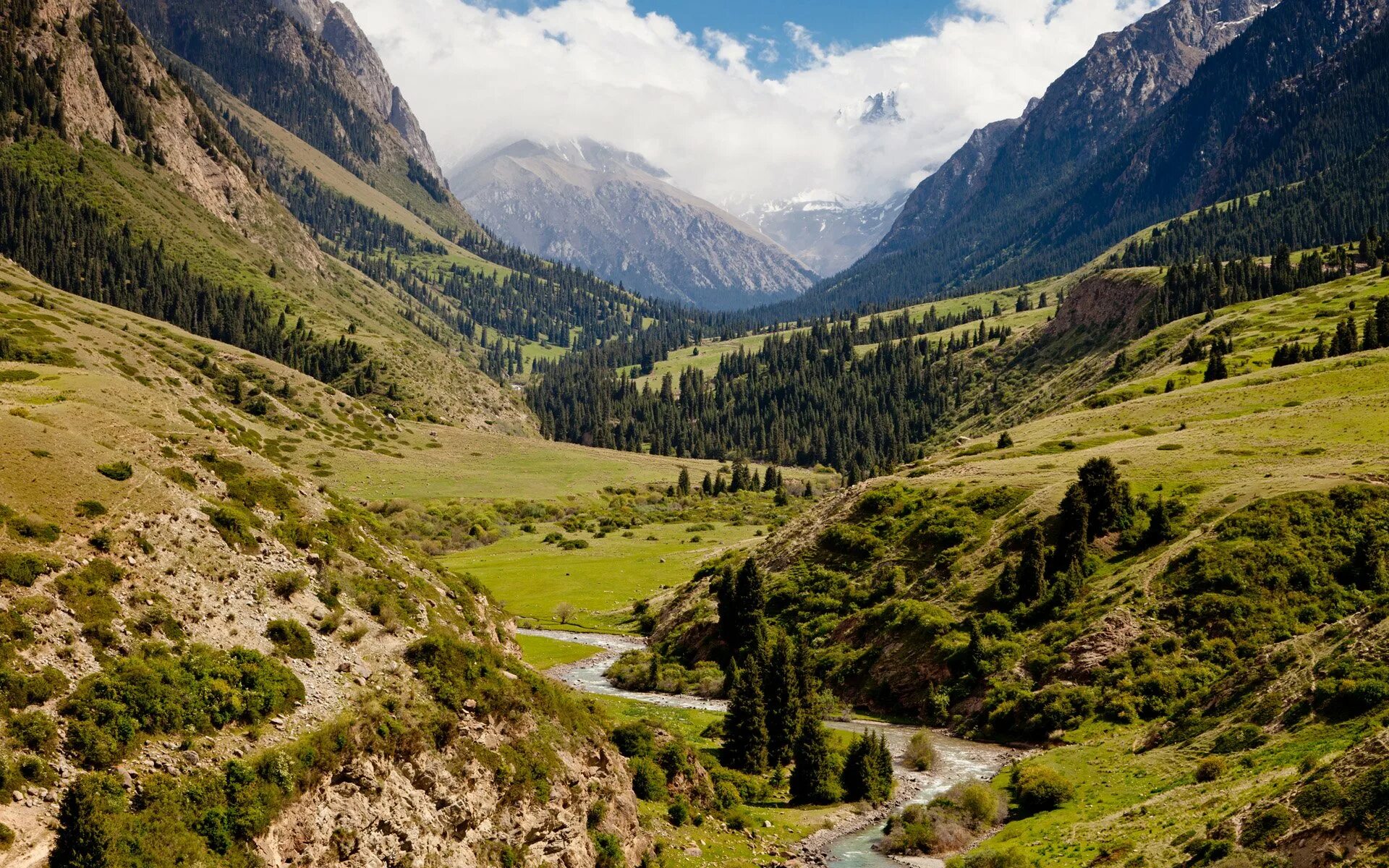 Южная киргизия. Ущелье Джууку Киргизия. Ущелье Алтын Арашан. Аламединское ущелье Киргизия. Киргизия горы Долина Арашан.