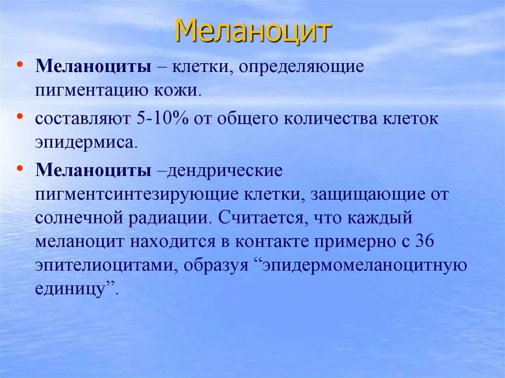 клетки меланоциты эпидермиса кожи. клетки меланоциты. клетки меланоциты. клетки меланоциты. меланоциты эпидермиса кожи.
