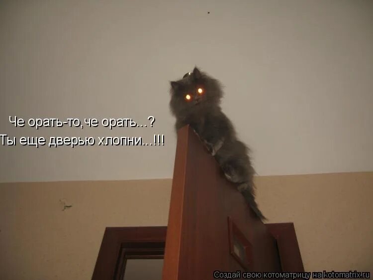 Я гоню быстро не мем. Опять играют, опять читают, опять гуляют мем. Мемы про утро понедельника. Кот говорит. Кот на работе.