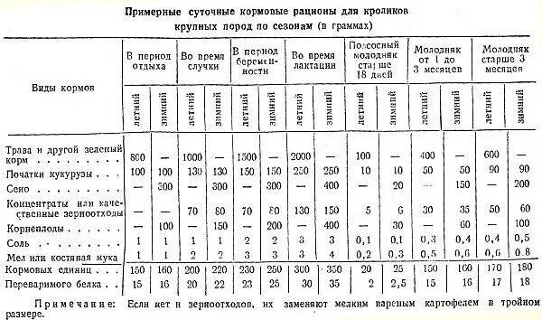 Сколько кормить кролика. Норма комбикорма для кроликов в сутки на 1. Суточный рацион кормов для кроликов. Норма комбикорма для кроликов в сутки на 1 голову. Сколько корма нужно кролику.