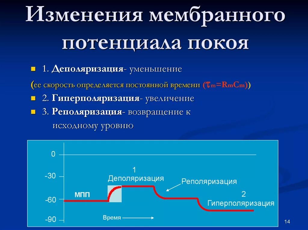 Характер изменения потенциала. Мембранный потенциал деполяризация мембраны. Мембранный потенциал покоя физиология. Изменение величины мембранного потенциала. Увеличение величины мембранного потенциала.