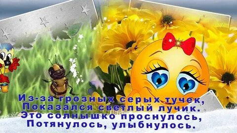 Тик ток видео с пожеланием