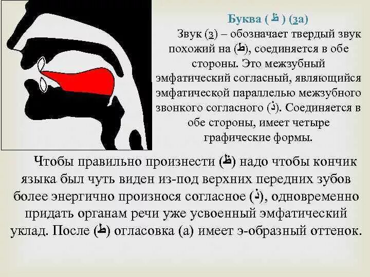 Как произносятся арабские. Правильное произношение арабских букв. Межзубные буквы в арабском языке. Артикуляция арабских букв. Как произносить арабские буквы.