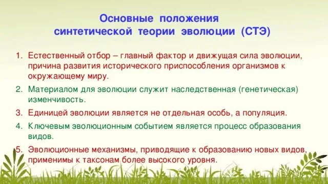 Запишите положение синтетической теории эволюции. Стэ синтетическая теория эволюции. основные положения синтетической теории эволюции. положения современной эволюционной теории. положения современной синтетической теории эволюции.