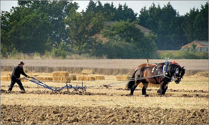 Вспашка земли лошадью. Пахать землю. Лошадь на пашне. Лошадь пашет поле. Паханное поле.