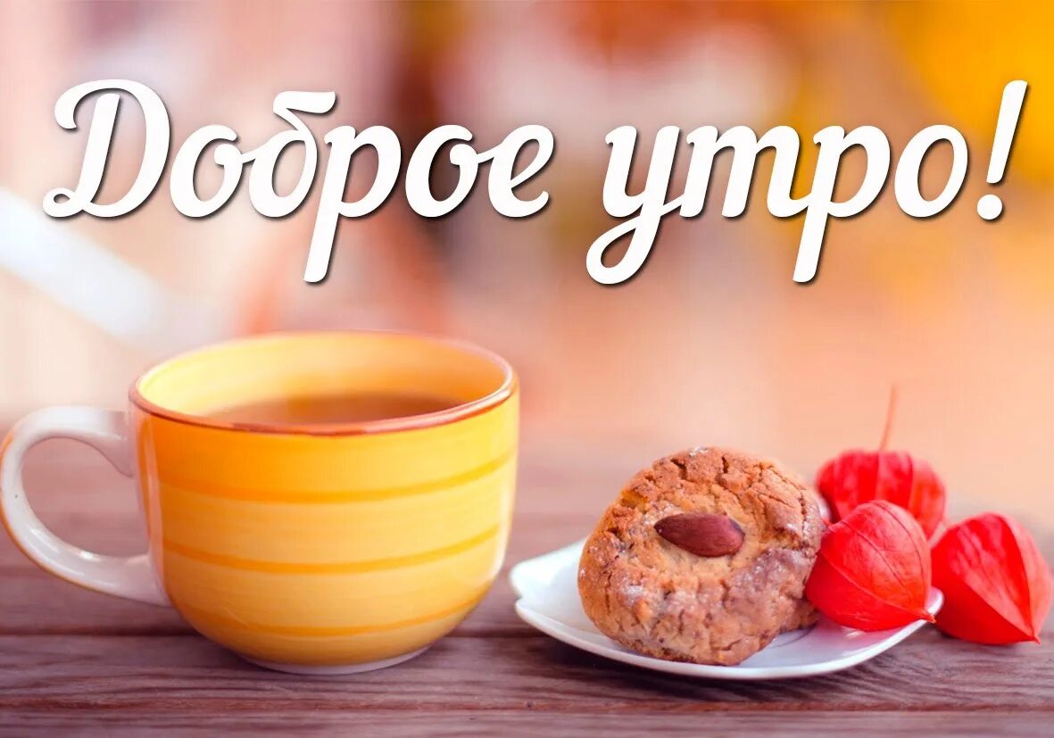 Доброго дня ноябрьской среды. Доброго дня ноябрьской среды