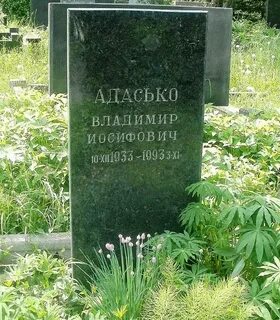 Главного конструктора адасько
