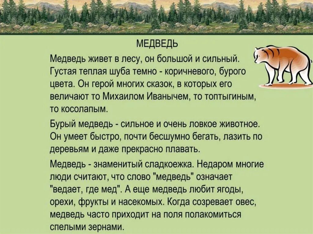 Рассказ о медведе. Рассказ о животных медведь. Рассказ о лесных животных. Описать дикое животное. Написать эссе о диких животных