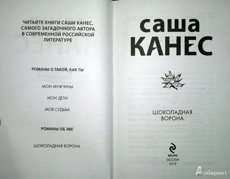 Саша Канес. Саша Канес шоколадная ворона. Книжка про Сашу. Название книги Саша. Читать книги саши токсика