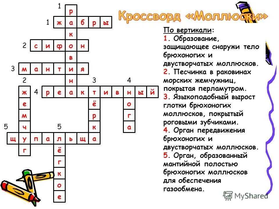 Кроссворд ракообразные и паукообразные. Готовый кроссворд по биологии. Кроссворд по биологии 7 класс насекомые. Кроссворд по биологии насекомые. Кроссворд тип кишечнополостные 10 слов.