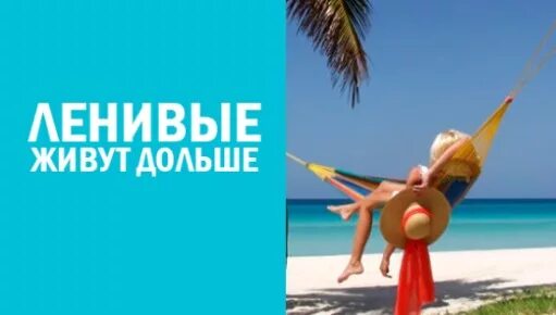 ленивые живут дольше книга. петер акст. ленивые живут дольше книга. ленивые живут дольше. бизнес для ленивых книга.