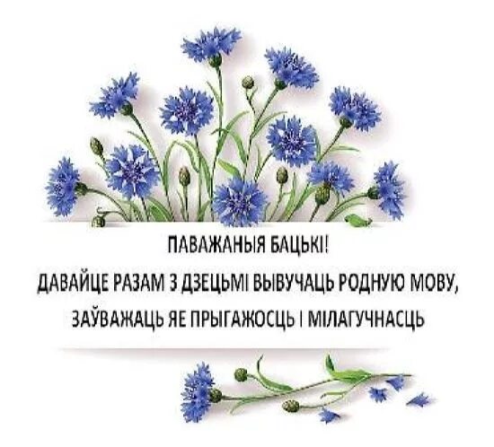 Мерапрыемства да дня роднай мовы. День беларускай мовы. День родной мовы в Беларуси. Дзень роднай мовы в Беларуси. Да дня роднай мовы.