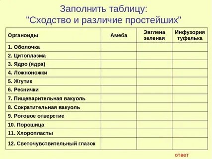 Сравнительная характеристика простейших 8 класс биология