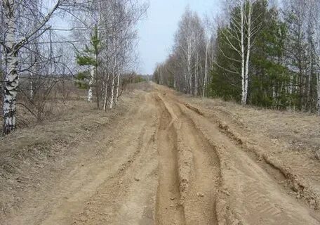 Дорога лечит