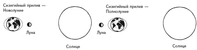 Сизигия это. Сизигийный прилив. Приливы и отливы астрономия. Сизигийные приливы схема. Сизигия и квадратура.