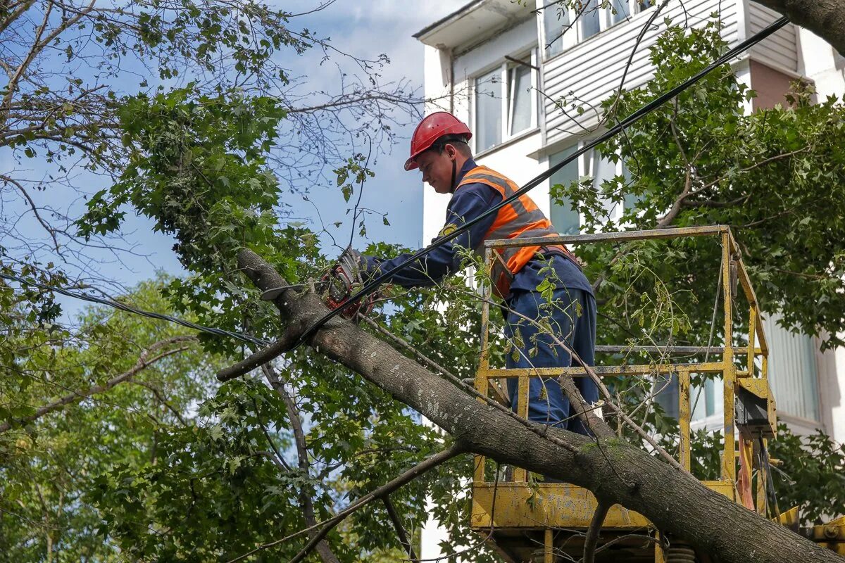 Электросети владивосток. Подстанция роспан 110 кв. Дрск владивосток. Электросети владивосток. Мупв впэс владивосток некрасовская 122.