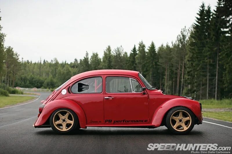 34 bug