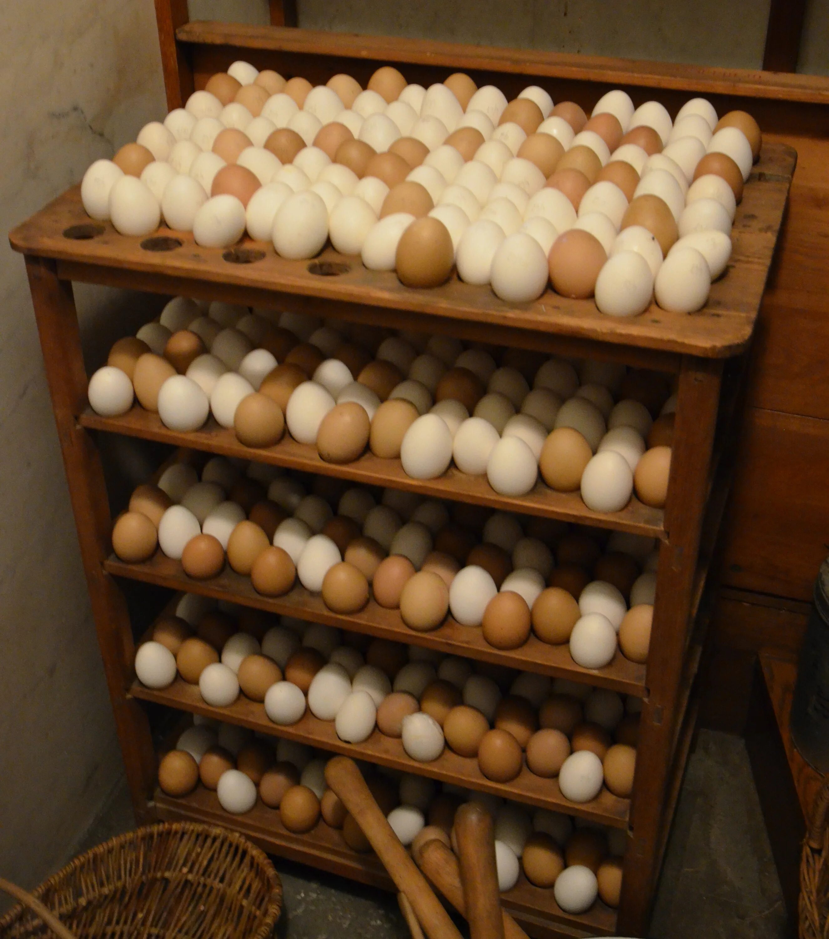 Хранение яиц. Куриные яйца в холодильнике. Хранение яиц на складе. Холодильник для инкубационных яиц.