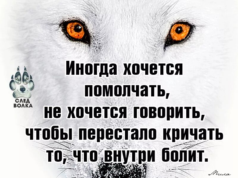 Если хочешь закричи. Иногда хочется. Душа волка. Просто иногда хочется помолчать. Иногда хочется помолчать не хочется говорить.