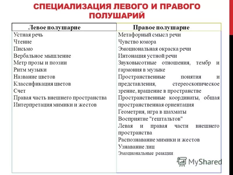 функциональная специализация полушарий