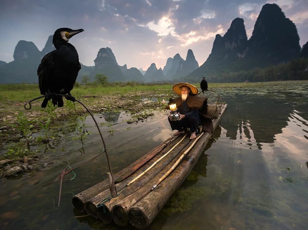 Шедевры природы. Лучшие фотографии. Лучшие national geographic. Лучшие national geographic. Интересные фотографии.