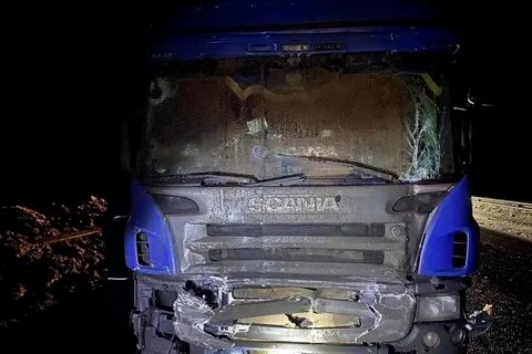 Дтп на м7 сегодня