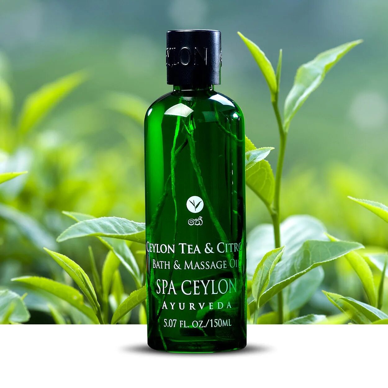 Spa ceylon. Spa ceylon косметика. Spa ceylon магазины. Эссенция для тела spa ceylon с красным сандалом детокс. Аюрведа спа цейлон.