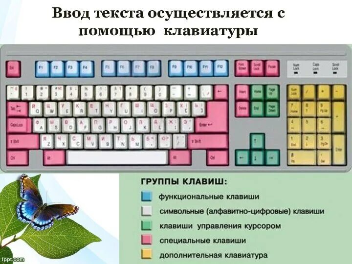 Тест ввод слов. Основные группы клавиш. Группы клавиш на клавиатуре. Основные группы клавиш на клавиатуре. Функциональные клавиши на клавиатуре.