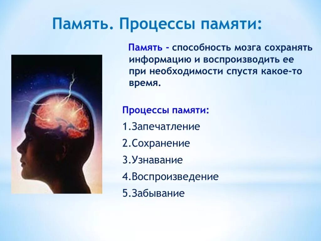 Доклад на тему память. Доклад на тему память человека. Презентация на тему память. Память человека презентация 8 класс. Память биология 8