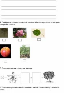 Отметьте значком