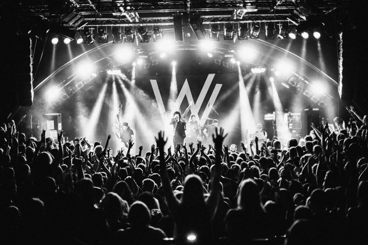 Go on a concert