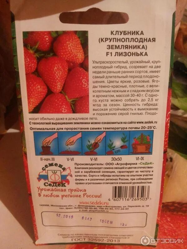 Клубника кимберли описание сорта фото отзывы садоводов. Земляника Настенька ремонтантная крупноплодная f1(СЕДЕК) Ц. Земляника крупноплодная зефир. Земляника (клубника) зефир. Семена клубника зефир.