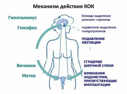 Как противозачаточные влияют на женщину
