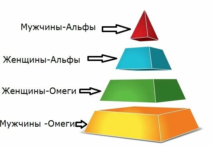 Альфа омега сигма тест. Иерархия мужчин. Социальная иерархия мужчин. Мужская иерархия Альфа. Дельта в иерархии мужчин.