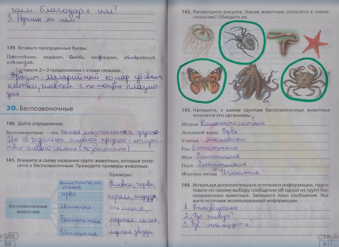 Рассмотри рисунок дополни текст. Биология рабочая тетрадь стр 75 5 класс. Домашнее задание по биологии. Гдз биология 5 класс рабочая тетрадь. Рабочая тетрадь по биологии 5 класс рабочая тетрадь стр 60.