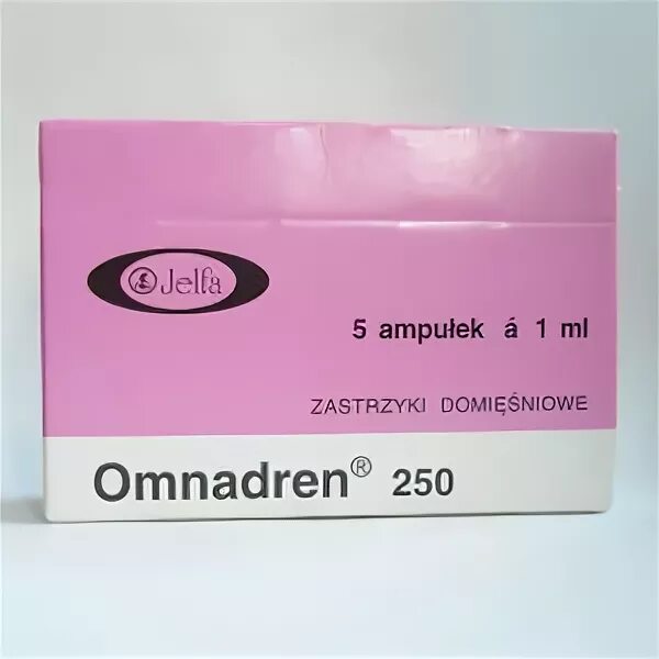 Омнадрен 250 в аптеке. Омнадрен 250 Польша. Препарат омнадрен. Омнадрен амп. 250мг/1мл №5. Омнадрен 250 р-р д/и/в/м масляный 250мг 1мл амп n1.