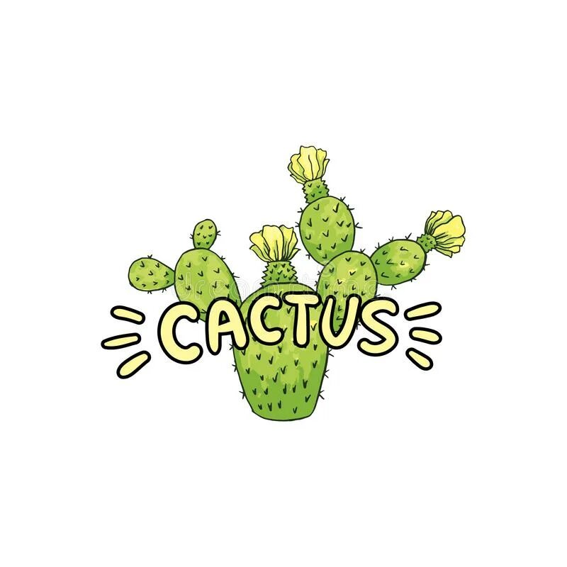Cacti бренд. Надпись Кактус. Красивая надпись Кактус. Леттеринг Кактус. Логотип с кактусом в буквах к.