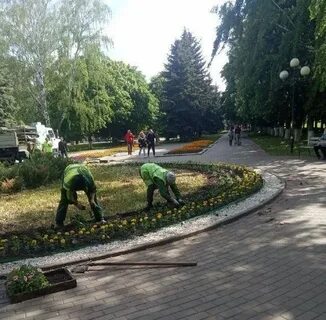 Сквер спортивный курск