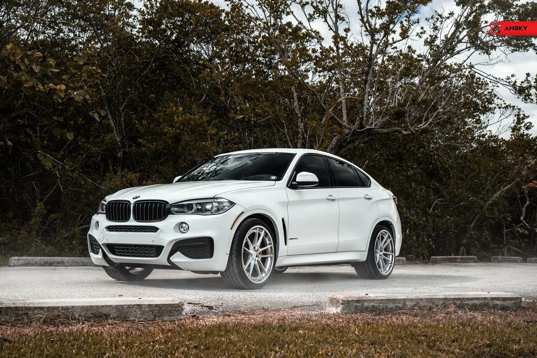 BMW x6 m Sport. БМВ X 6 M Sport. BMW x6m белый. BMW x6 m 2017 белая.