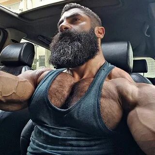 Бородатые качки