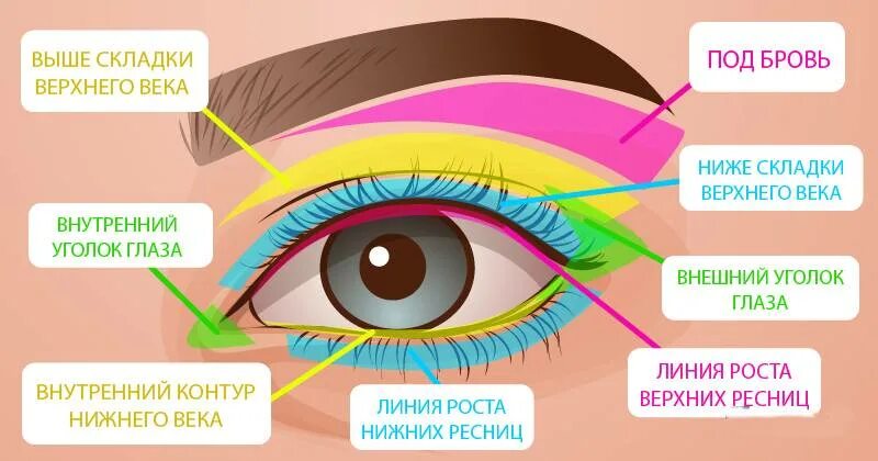 Как в сторону называется глаз. Внутренний и внешний уголок глаза. внешний уголок глаза. наружный и внутренний угол глаза. внутренний уголок глаза.