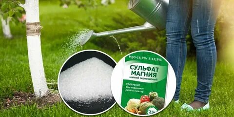 Магний удобрение применение на огороде