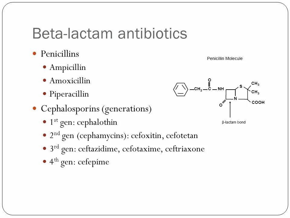 Ampicillin, penicillin. Penicillin and other antibiotics. Beta lactam Synthesis. Cephalosporins 2. Пенициллин тест