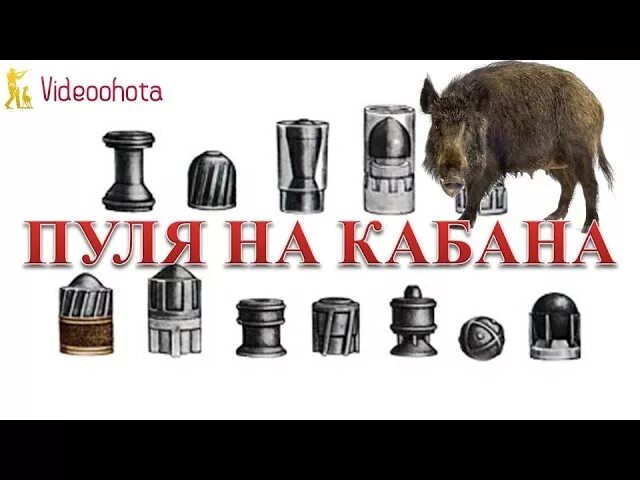 Пуля лося. Пуля кабан 12 калибра. Патроны на кабана 12 Калибр. Лучшие пули 12 калибра для охоты на лося и кабана. Патрон на кабабана 12 калибра.